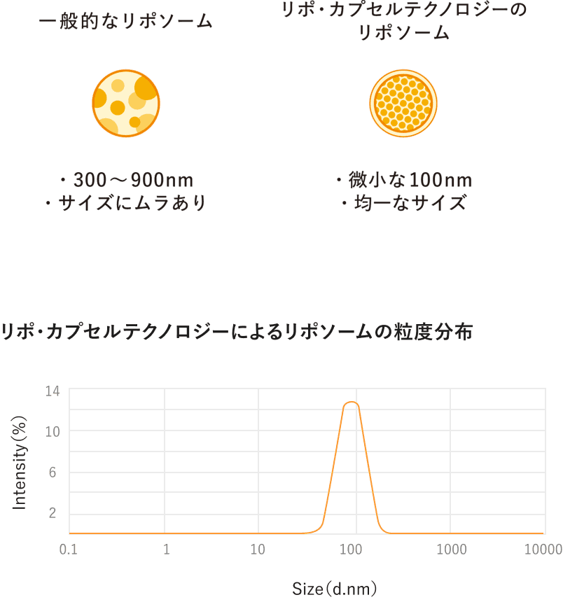 日本高质量脂质体图像·维生素C的大小和吸收率图
